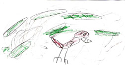 This is a picture of a roadrunner.