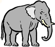 Graphic of Elephant