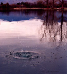 Photo of Water Rings in River