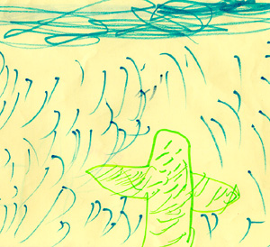 This is Eric's drawing of a cactus.
