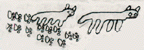 The drawing shows two coyotes.