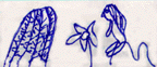 The drawing shows a girl looking at a flower and a cactus.