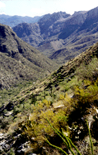 Photograph of Sabino Canyon